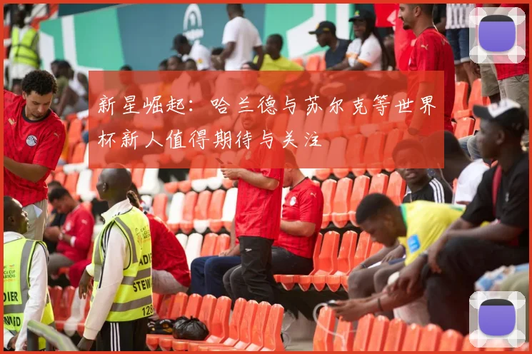 新星崛起：哈兰德与苏尔克等世界杯新人值得期待与关注