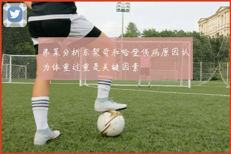 弗莱分析东契奇和哈登伤病原因认为体重过重是关键因素